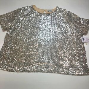 Sequin Short Sleeve Top in Silver - Size 3X